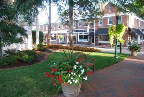 Potted planter in downtown with store fronts