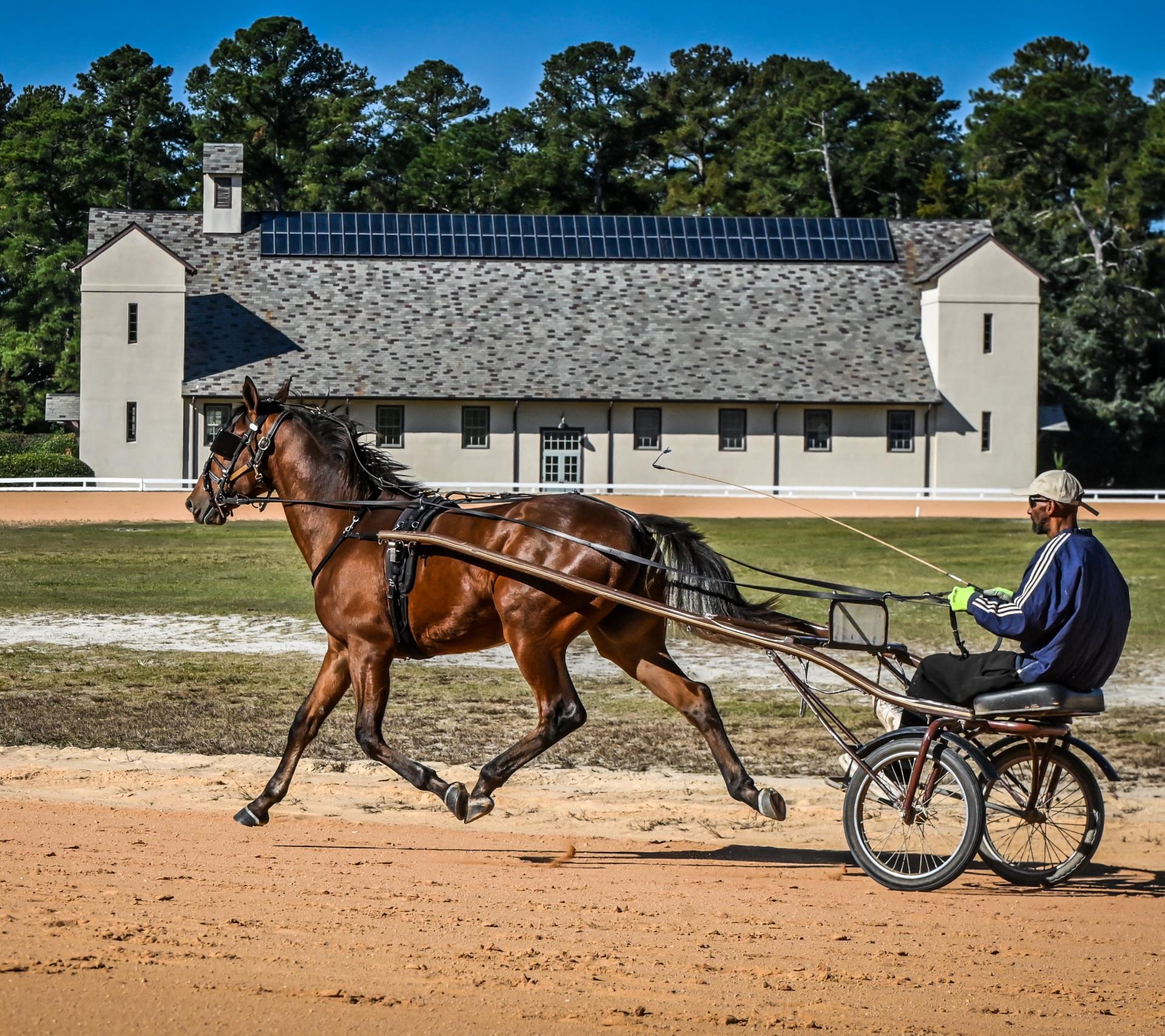 Harness Track Website Picture