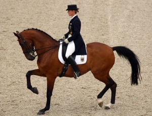 Dressage_w300