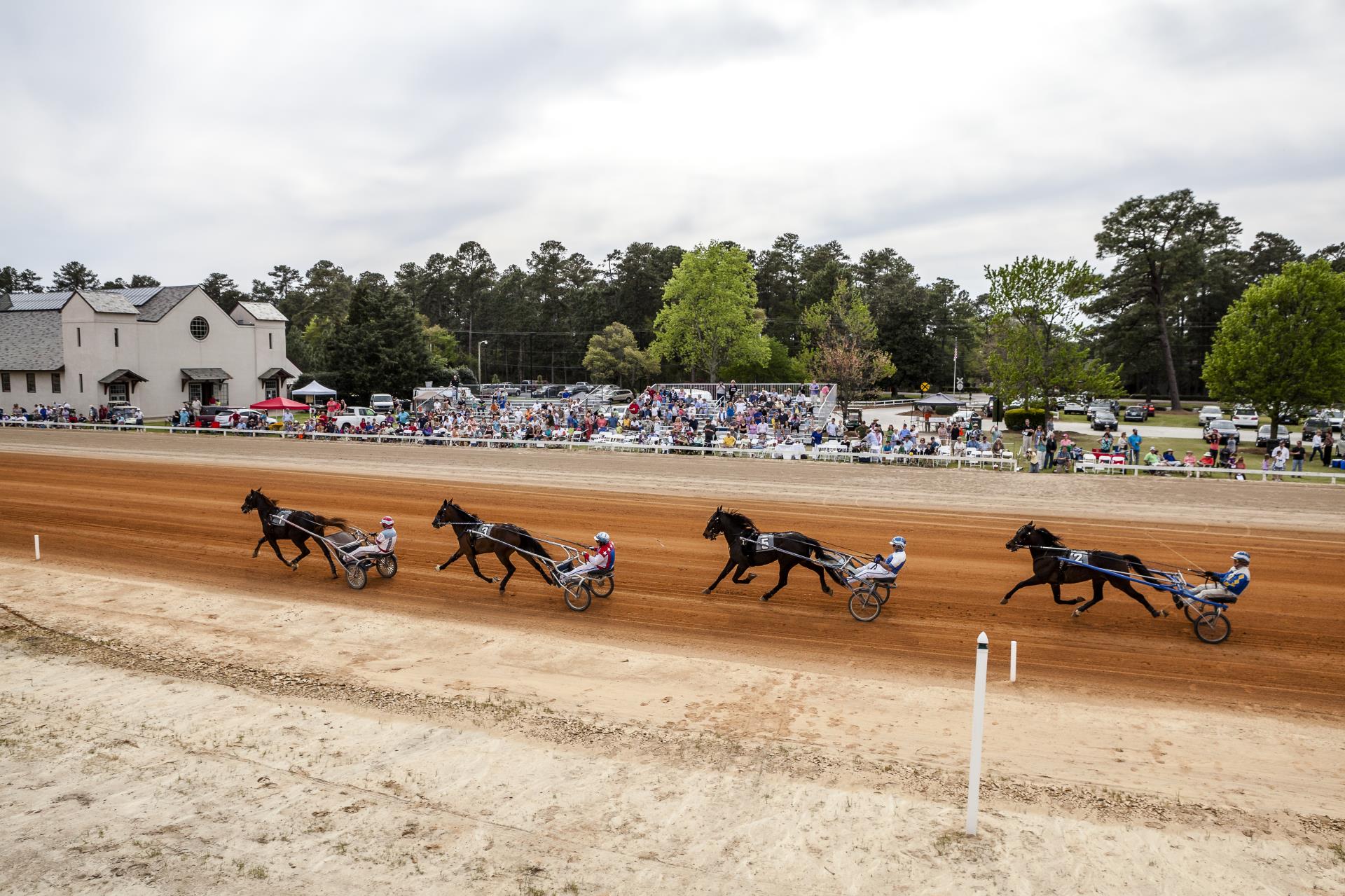 Matinee Races