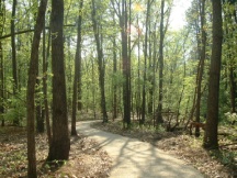 Greenway Trails 216x162