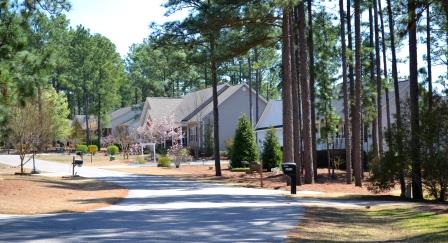 Residential road leading to houses