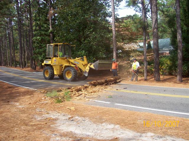 Bulldozer moving a fallen tree in the middle of the road