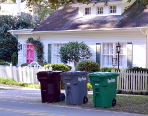 trash recycling and yard debris carts