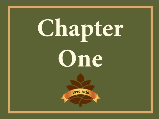 Chapter 1 Button