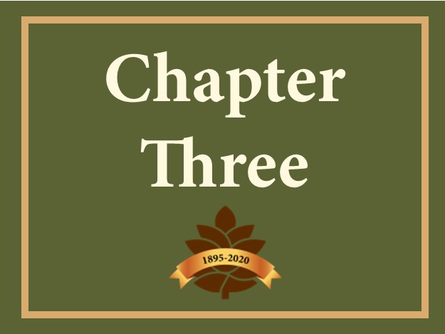 Chapter 3 Button