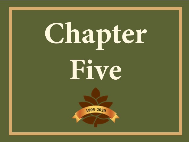 Chapter 5 Button