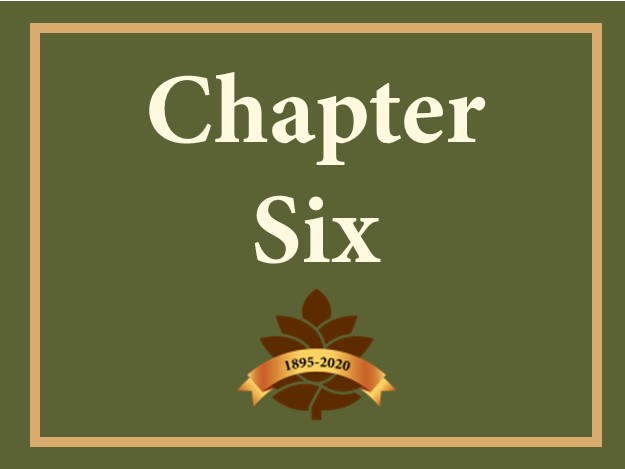 Chapter 6 Button