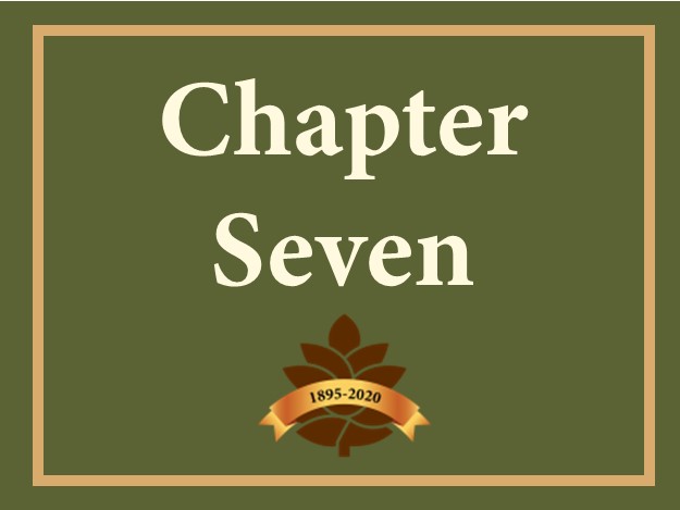 Chapter 7 Button