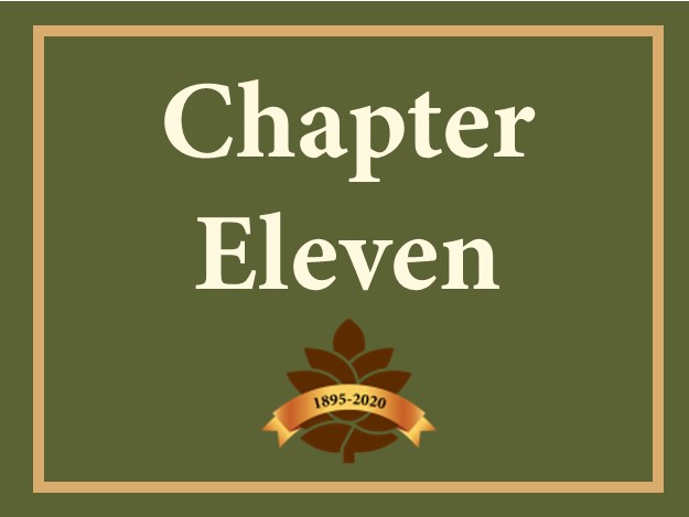 Chapter 11 Button